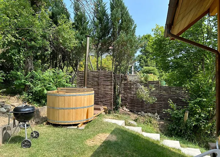 Le Cabanon
